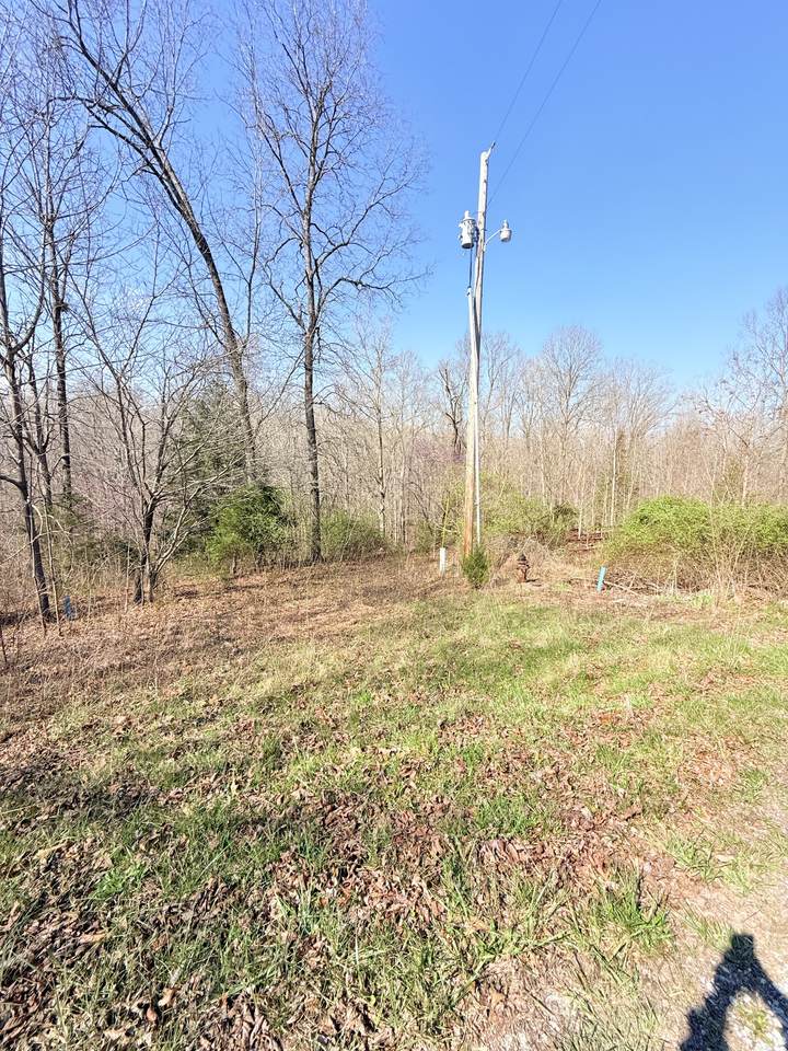 https://bt-photos.global.ssl.fastly.net/nashville/1280_boomver_1_RTC3159441-1.jpg