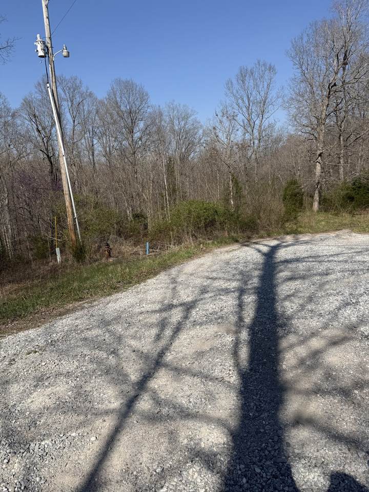 https://bt-photos.global.ssl.fastly.net/nashville/1280_boomver_1_RTC3159441-1.jpg