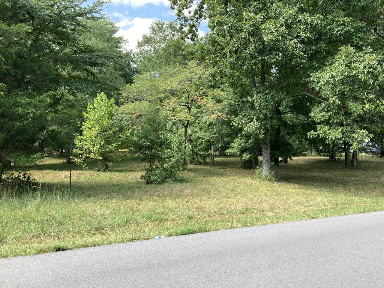 0 N Hurricane Creek Rd - Photo 1