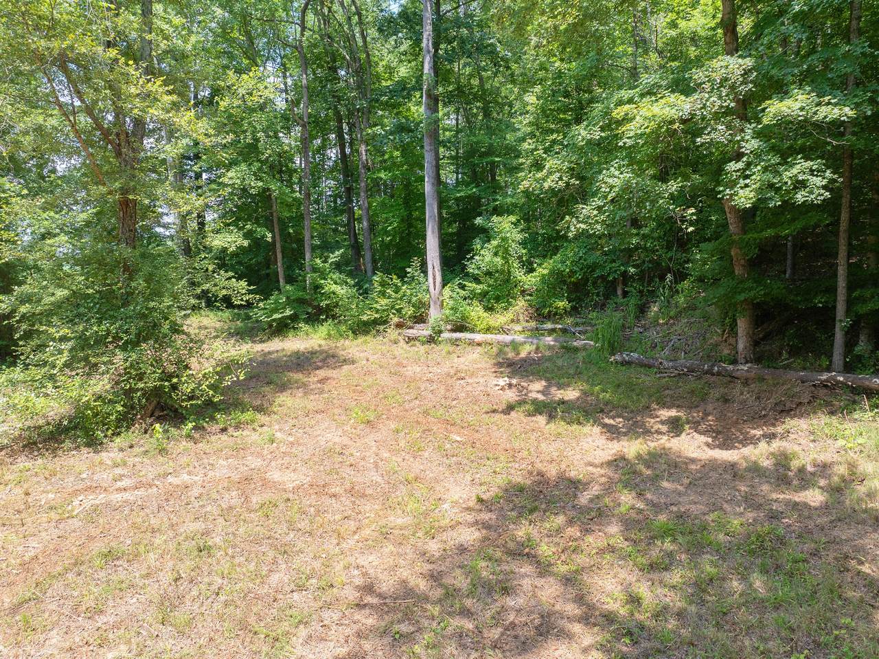https://bt-photos.global.ssl.fastly.net/nashville/1280_boomver_1_RTC3159582-1.jpg