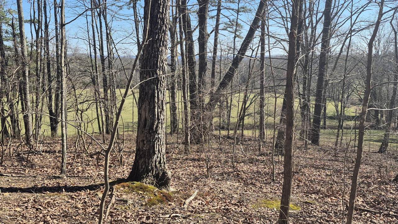 https://bt-photos.global.ssl.fastly.net/nashville/1280_boomver_1_RTC3159597-1.jpg