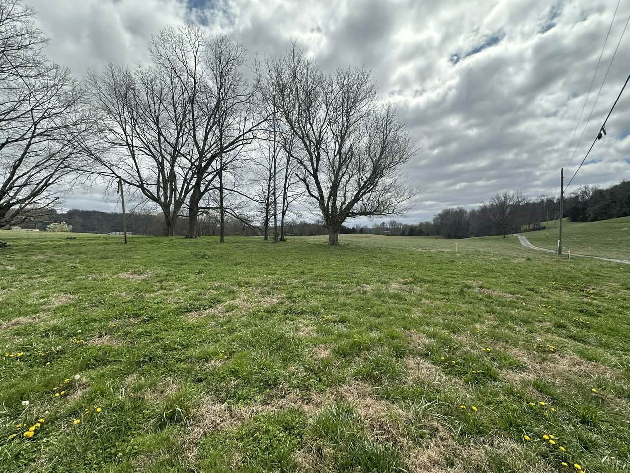 https://bt-photos.global.ssl.fastly.net/nashville/1280_boomver_1_RTC3159646-1.jpg