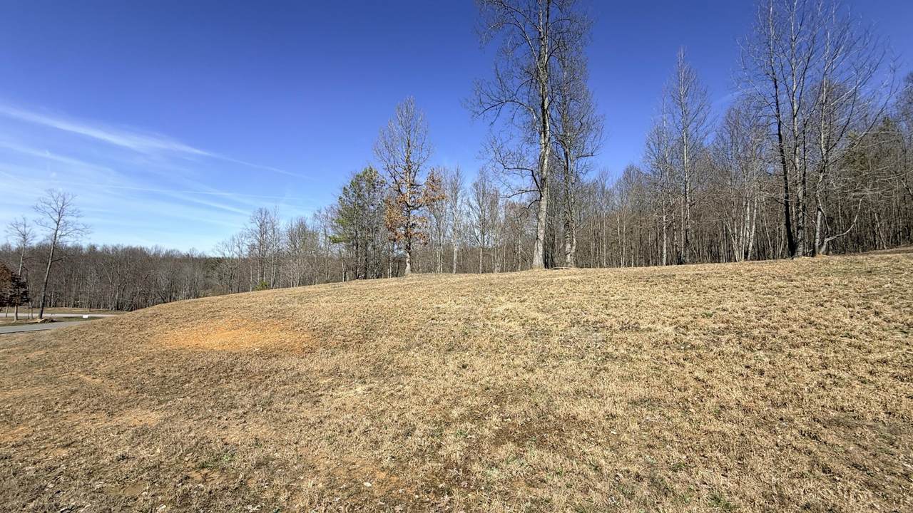 0 Raulston Falls Road - Photo 1