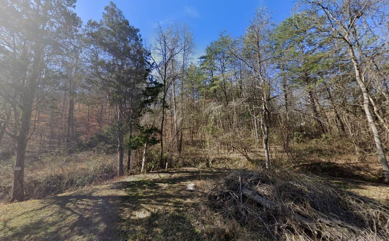 https://bt-photos.global.ssl.fastly.net/nashville/1280_boomver_1_RTC3160115-1.jpg