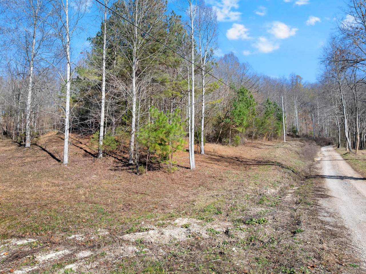 https://bt-photos.global.ssl.fastly.net/nashville/1280_boomver_1_RTC3160193-1.jpg