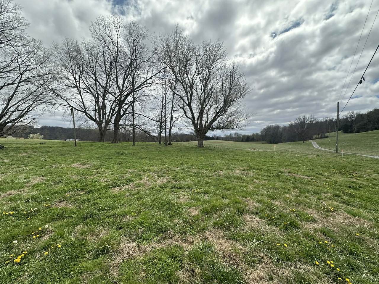 https://bt-photos.global.ssl.fastly.net/nashville/1280_boomver_1_RTC3160241-1.jpg