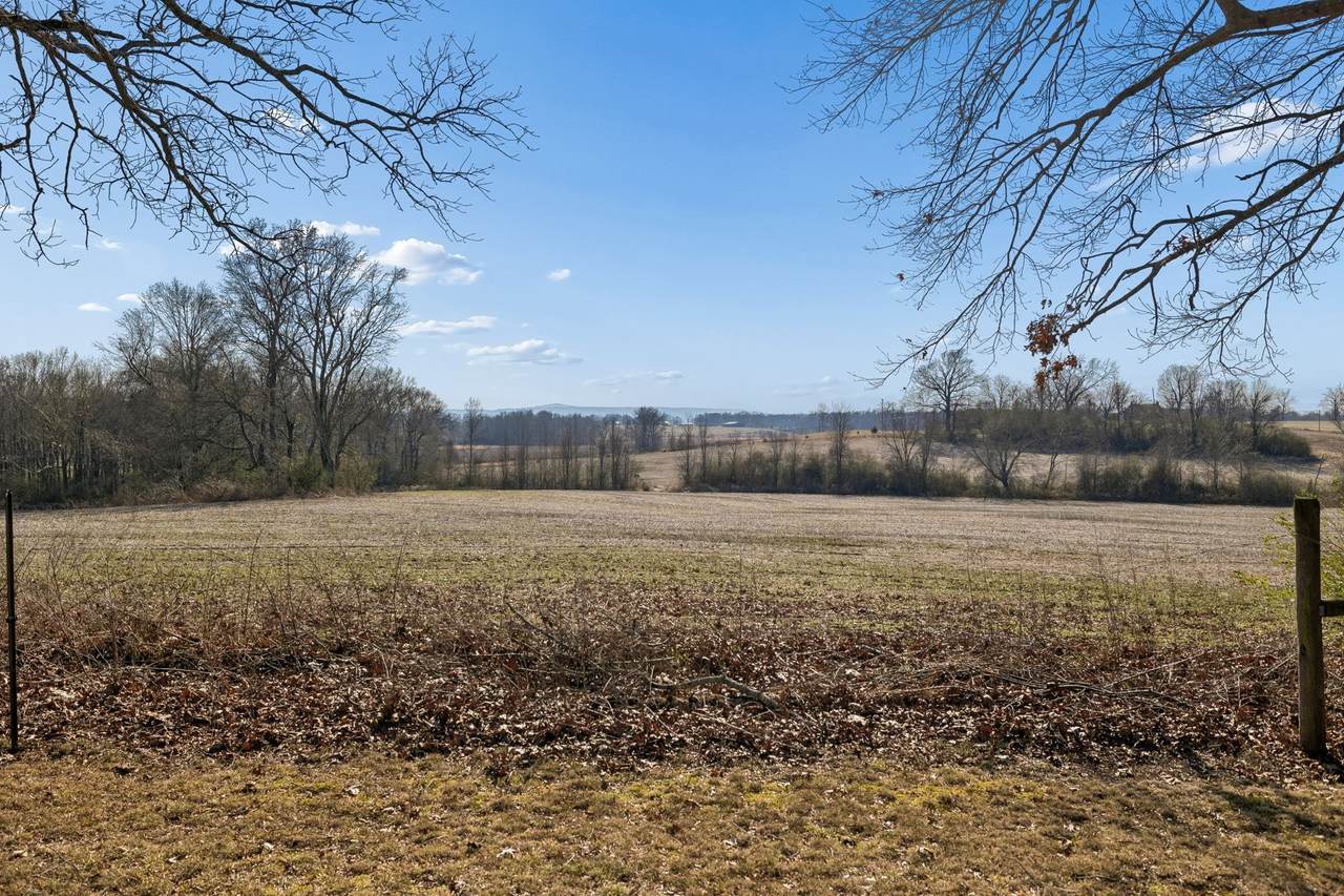 https://bt-photos.global.ssl.fastly.net/nashville/1280_boomver_1_RTC3163749-1.jpg