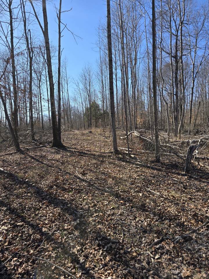0 Honey Fork Road - Photo 1