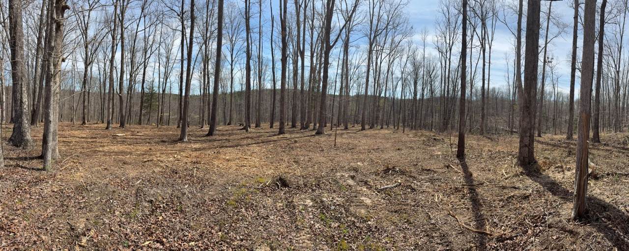 13 Shelton Cemetery Road - Photo 1