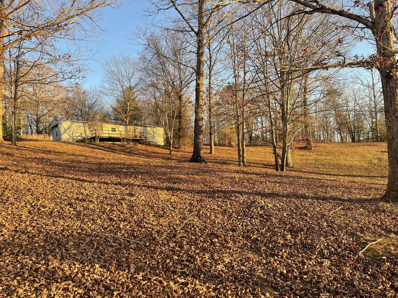 454 County Road 188 - Photo 1