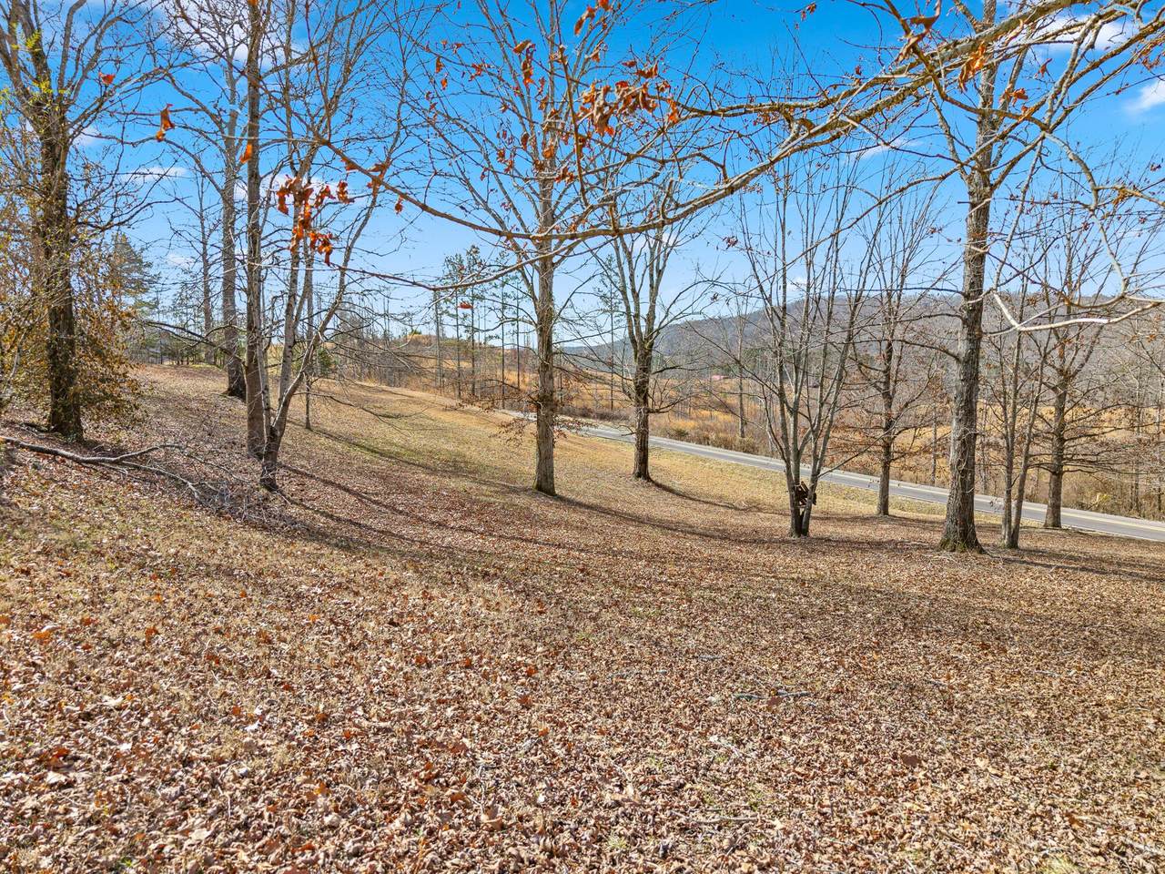 https://bt-photos.global.ssl.fastly.net/nashville/1280_boomver_1_RTC3165037-1.jpg