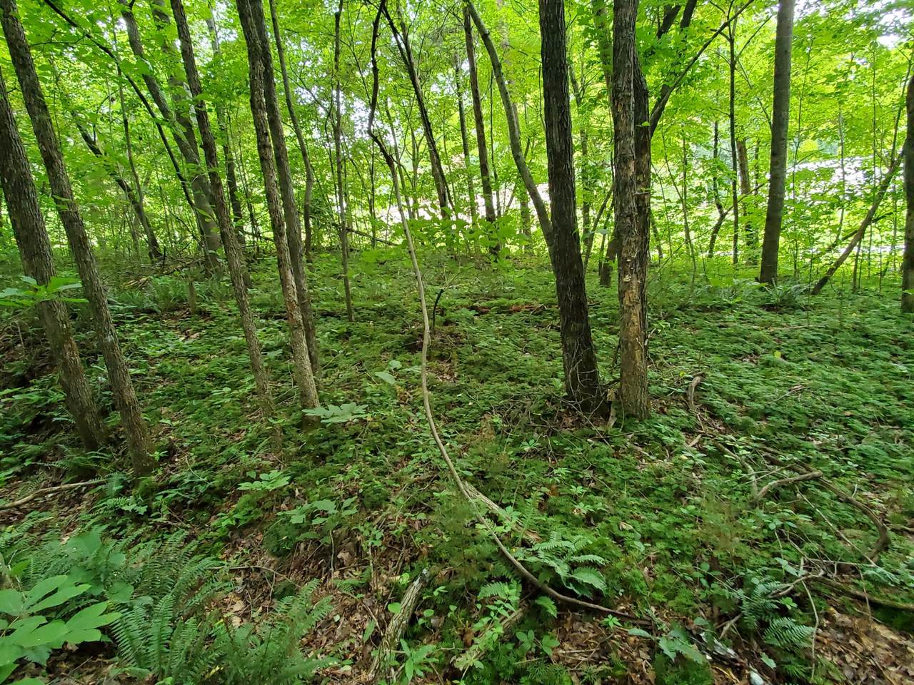 https://bt-photos.global.ssl.fastly.net/nashville/1280_boomver_1_RTC3165459-1.jpg