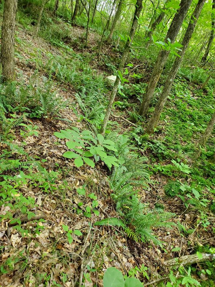 https://bt-photos.global.ssl.fastly.net/nashville/1280_boomver_1_RTC3165459-1.jpg