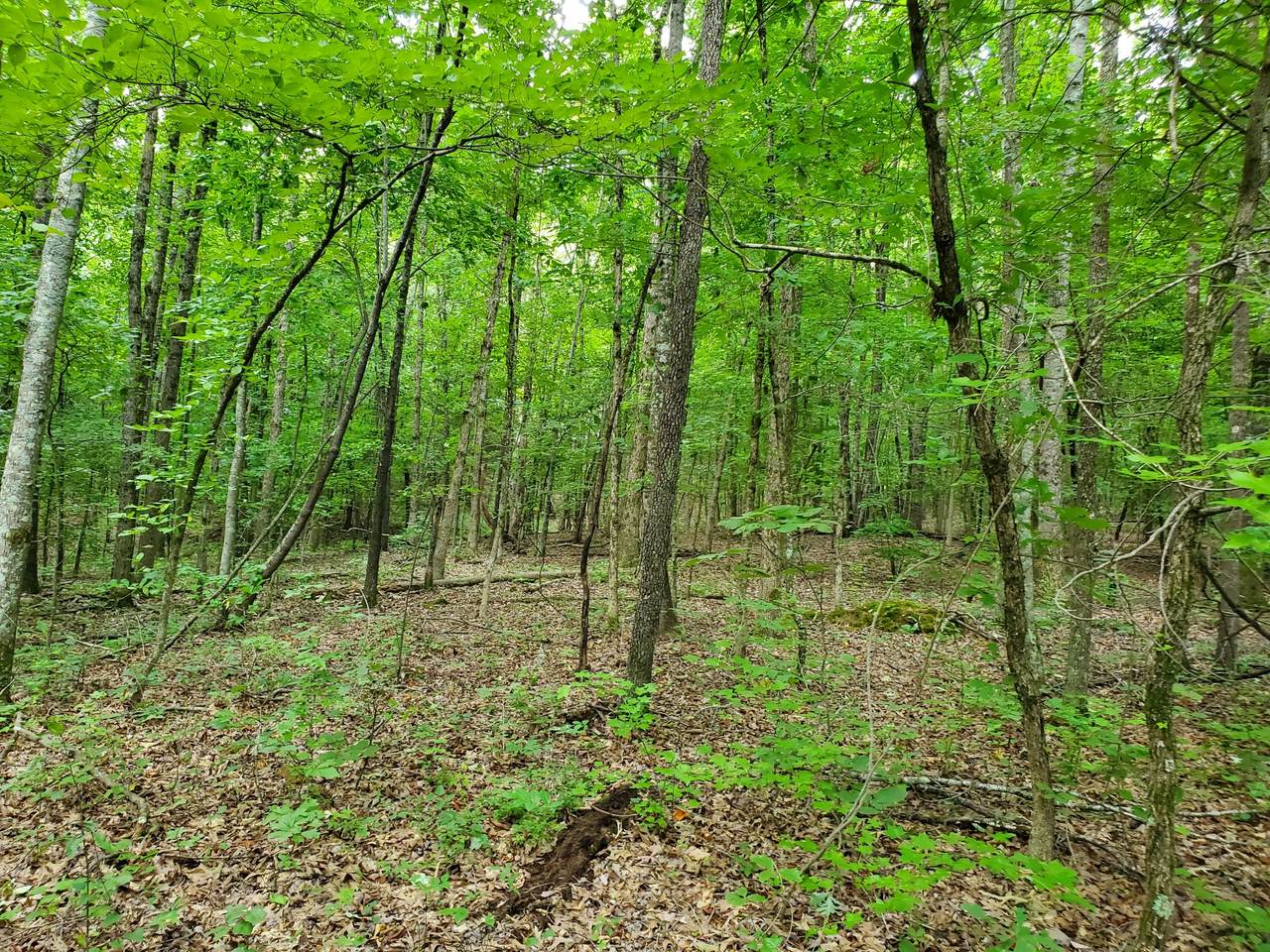 https://bt-photos.global.ssl.fastly.net/nashville/1280_boomver_1_RTC3165459-1.jpg
