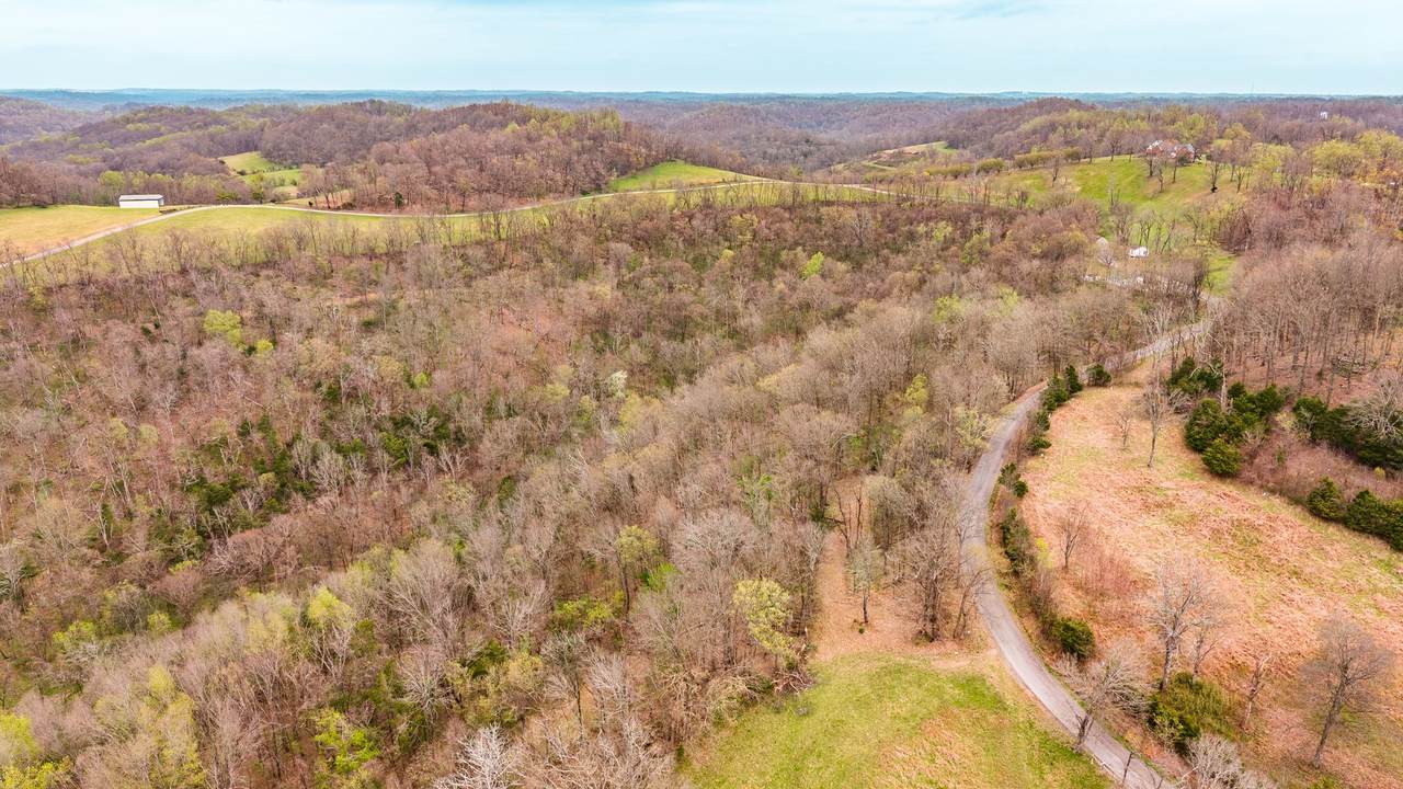 https://bt-photos.global.ssl.fastly.net/nashville/1280_boomver_1_RTC3165613-1.jpg
