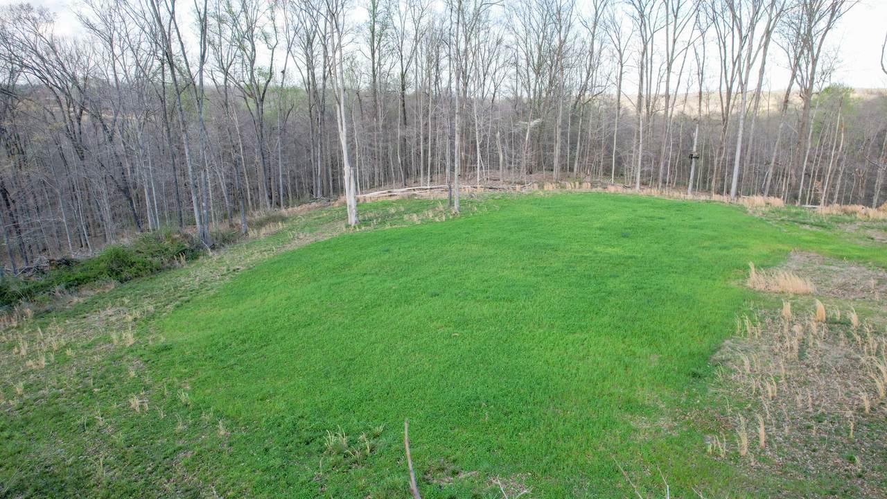 0 Bell Hollow Road - Photo 1