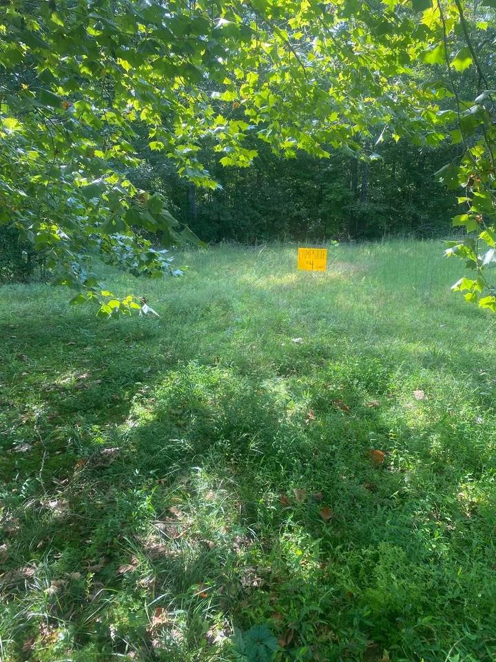 https://bt-photos.global.ssl.fastly.net/nashville/orig_boomver_1_RTC3168603-1.jpg