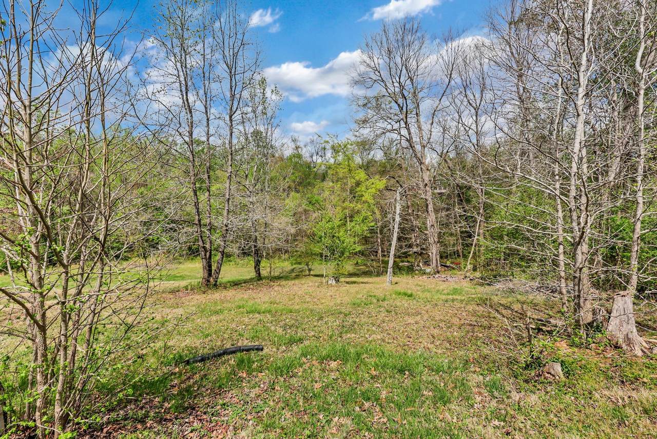 https://bt-photos.global.ssl.fastly.net/nashville/1280_boomver_1_RTC3168988-1.jpg