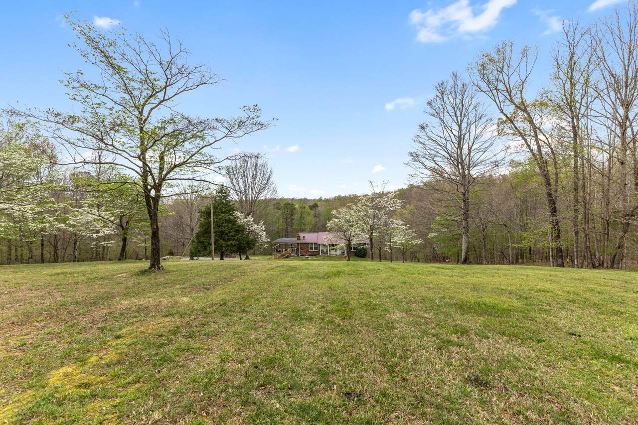 https://bt-photos.global.ssl.fastly.net/nashville/1280_boomver_1_RTC3169089-1.jpg
