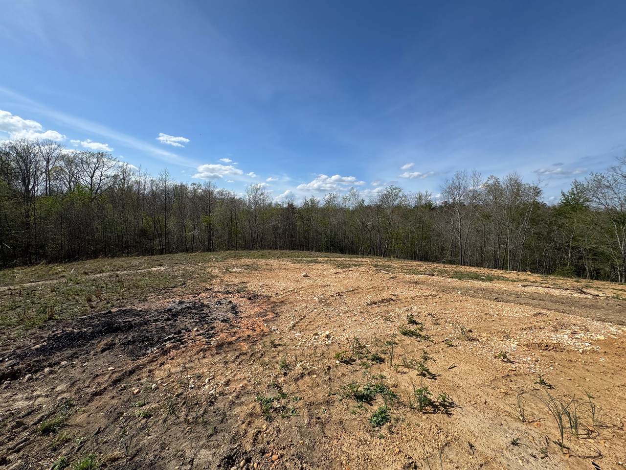 https://bt-photos.global.ssl.fastly.net/nashville/1280_boomver_1_RTC3169176-1.jpg