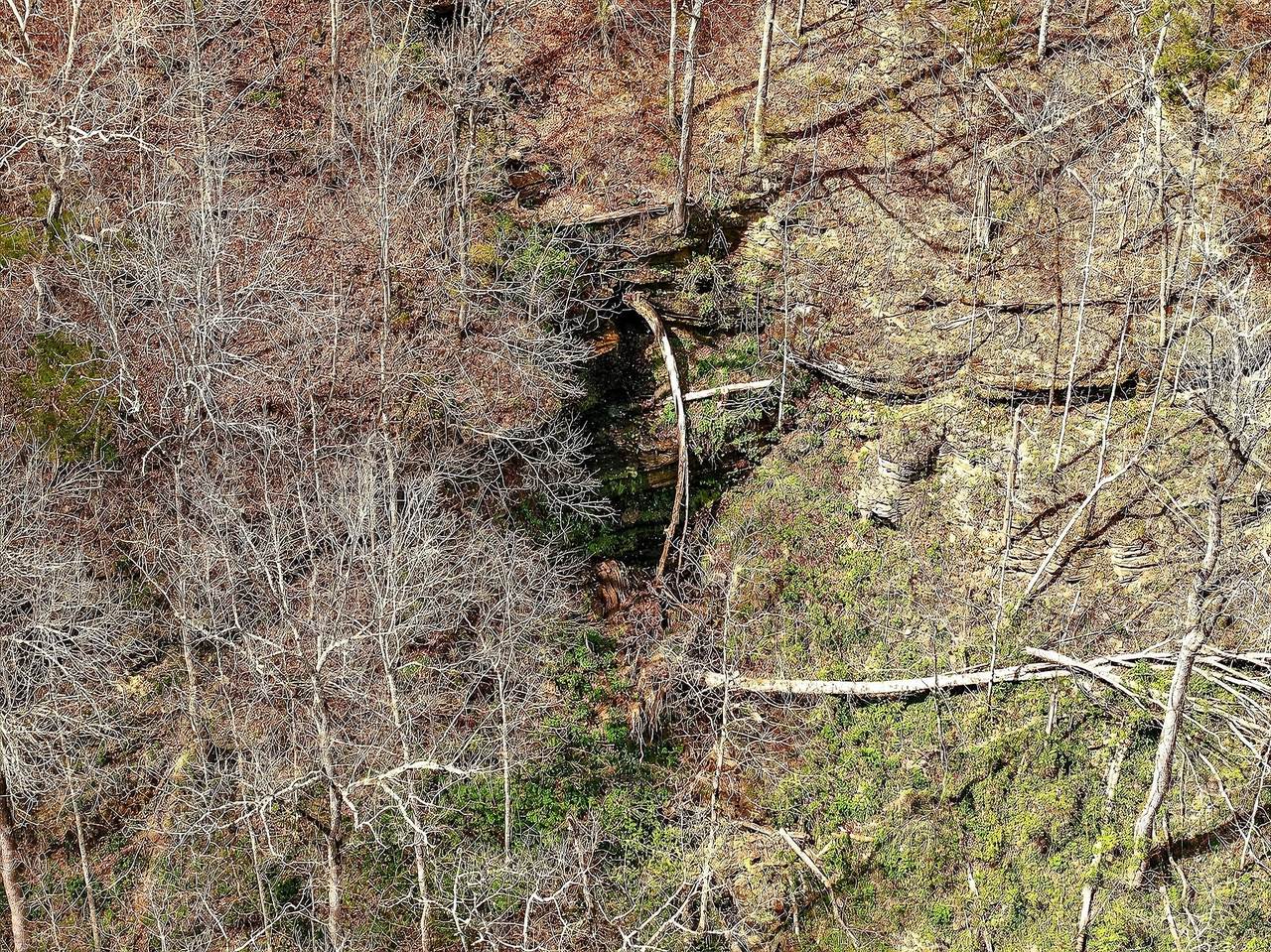 https://bt-photos.global.ssl.fastly.net/nashville/1280_boomver_1_RTC3169956-1.jpg