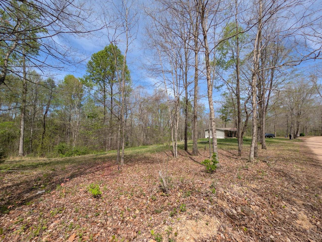 https://bt-photos.global.ssl.fastly.net/nashville/1280_boomver_1_RTC3170535-1.jpg