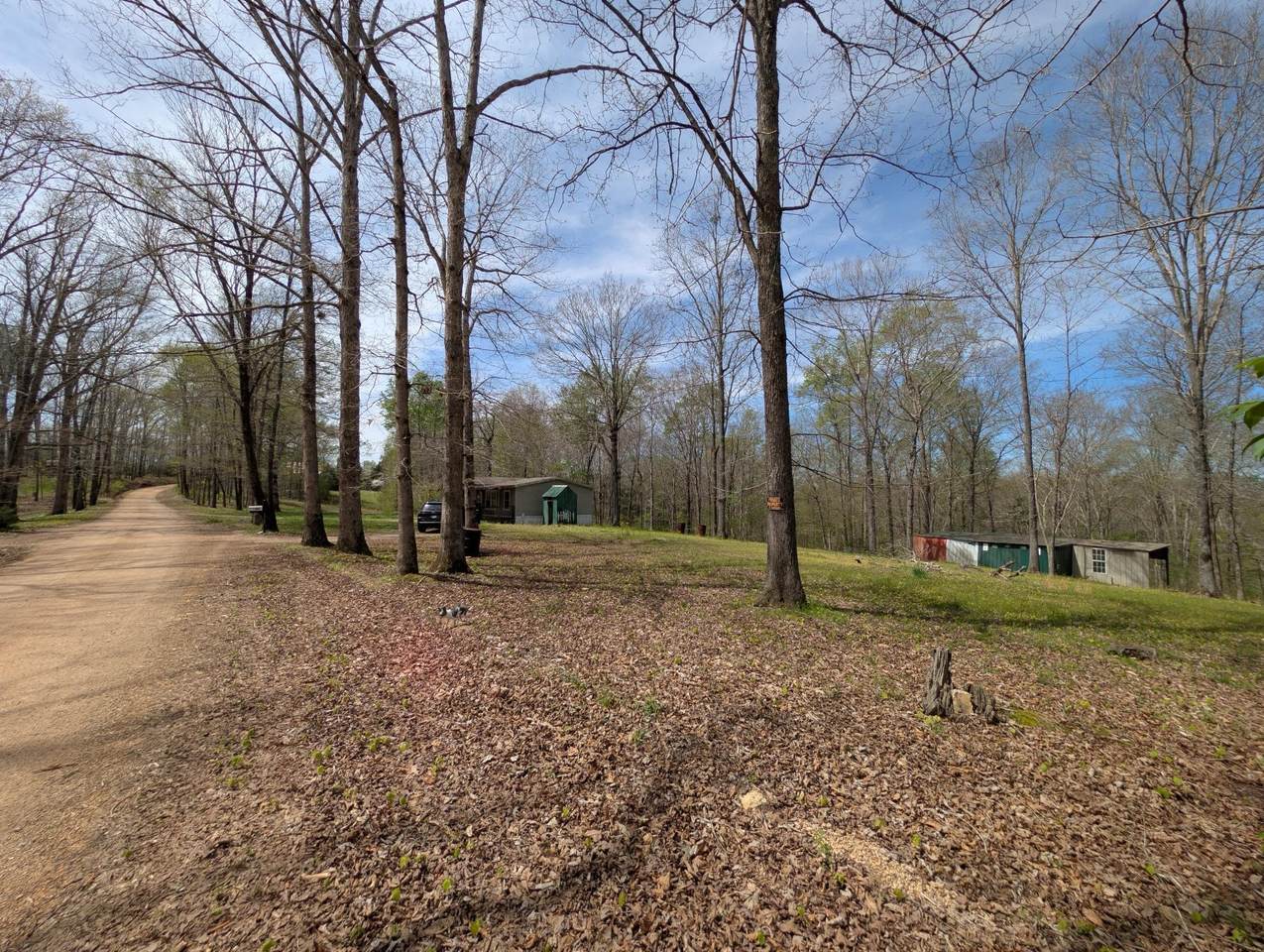 https://bt-photos.global.ssl.fastly.net/nashville/1280_boomver_1_RTC3170535-1.jpg