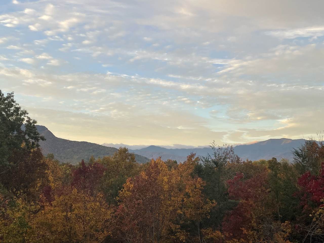https://bt-photos.global.ssl.fastly.net/nashville/1280_boomver_1_RTC3170654-1.jpg