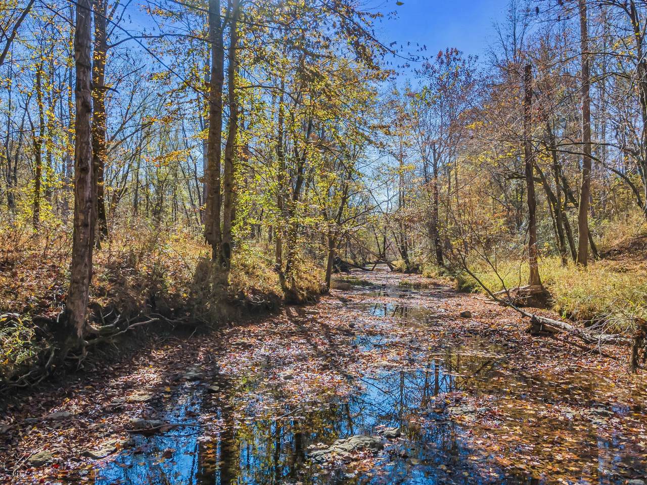 https://bt-photos.global.ssl.fastly.net/nashville/1280_boomver_1_RTC3170660-1.jpg