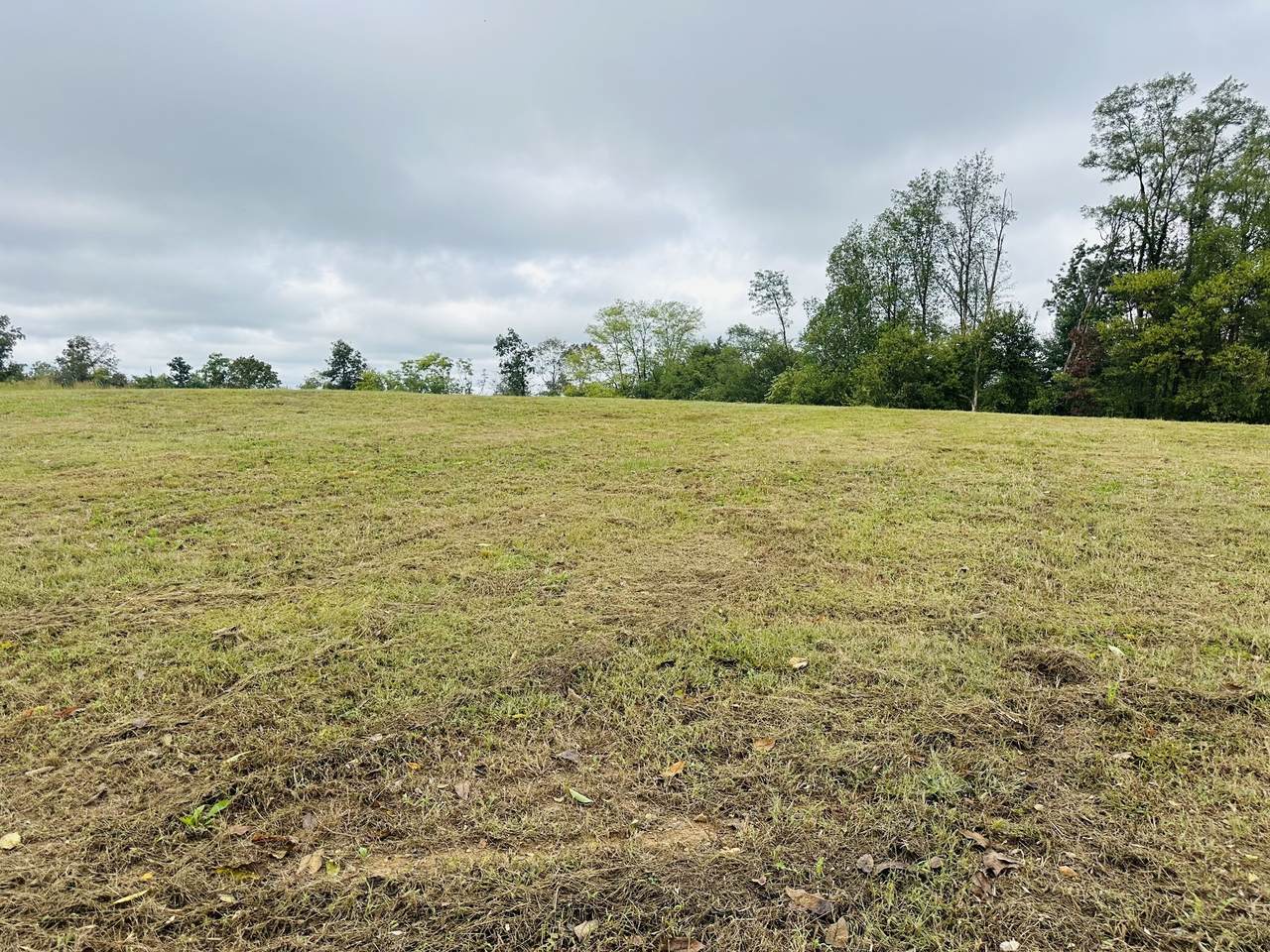 7 Annie Hollow Rd - Photo 1