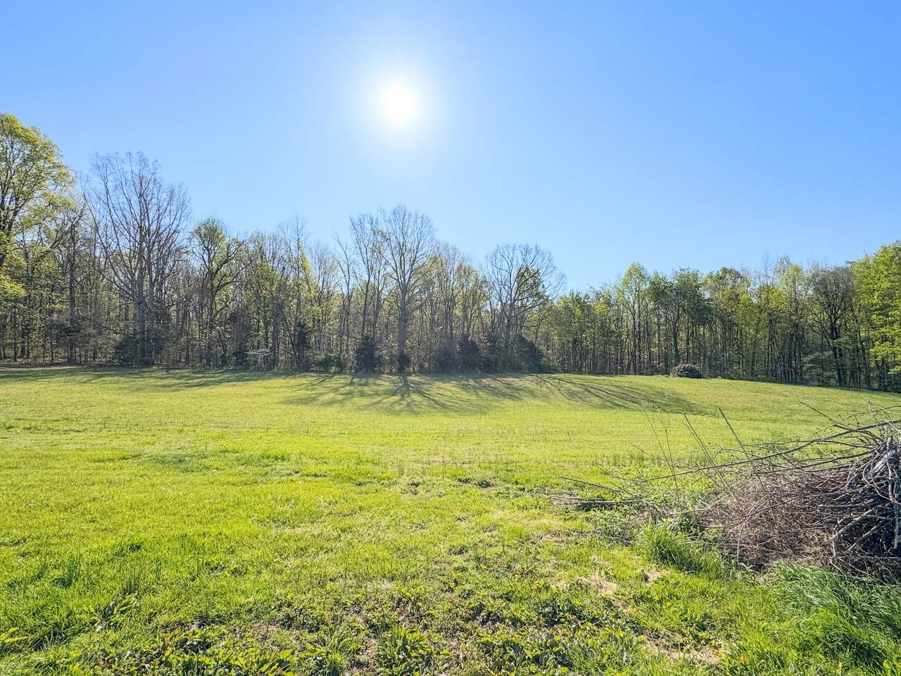 2634 Pleasant Grove Rd - Photo 1