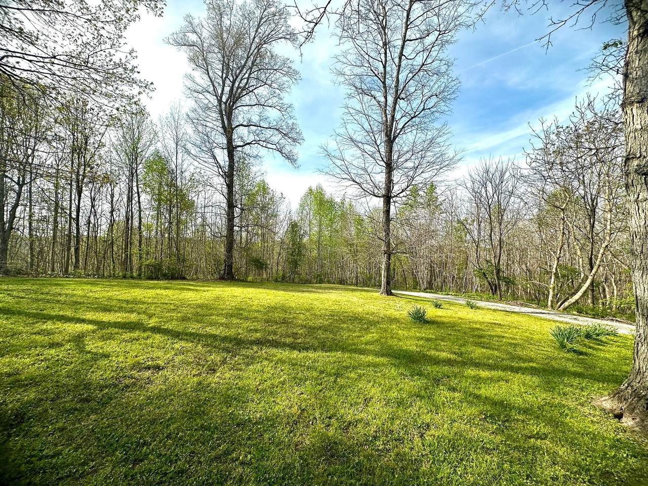 https://bt-photos.global.ssl.fastly.net/nashville/1280_boomver_1_RTC3171158-1.jpg