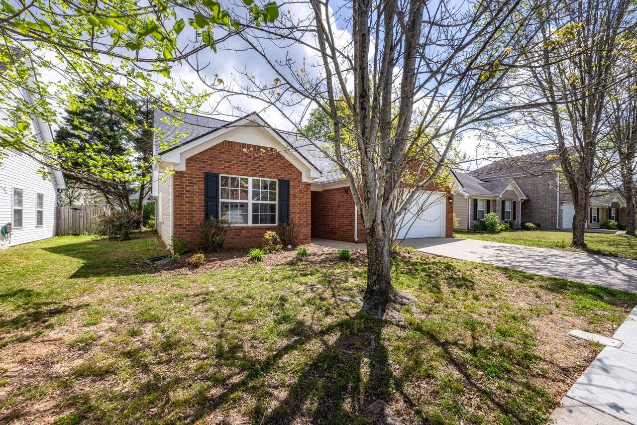 https://bt-photos.global.ssl.fastly.net/nashville/1280_boomver_1_RTC3171348-1.jpg