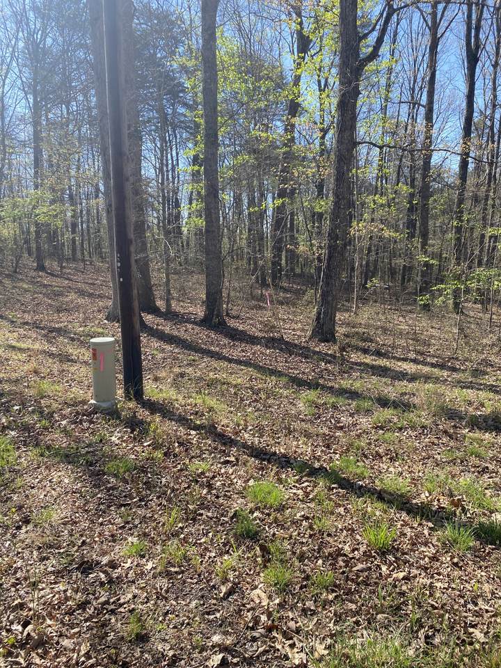 490 Haynes Rd - Photo 1