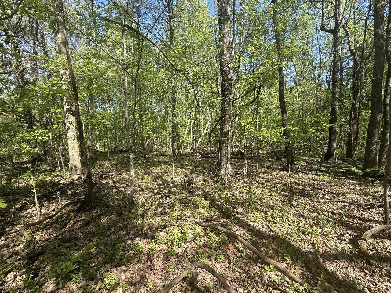 0 Dunbar Cave Rd - Photo 1