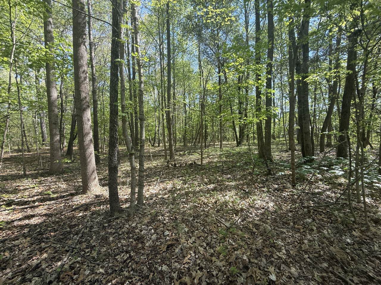 https://bt-photos.global.ssl.fastly.net/nashville/1280_boomver_1_RTC3173398-1.jpg