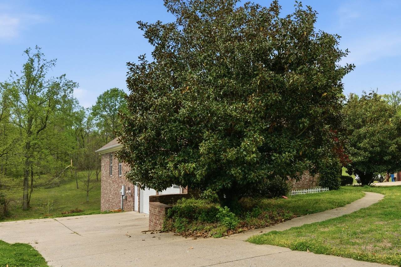 https://bt-photos.global.ssl.fastly.net/nashville/1280_boomver_1_RTC3175029-1.jpg