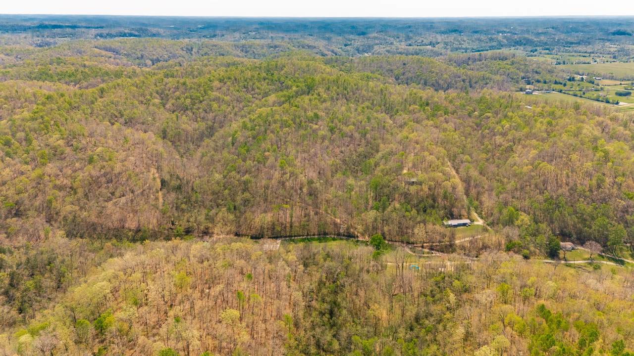 https://bt-photos.global.ssl.fastly.net/nashville/1280_boomver_1_RTC3175123-1.jpg