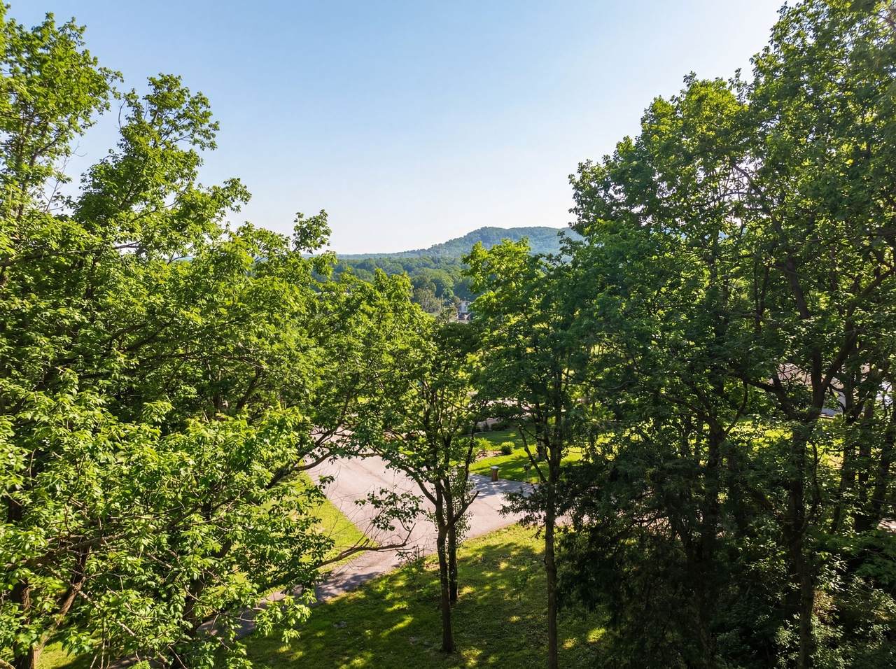 1306 Belmont Park Ct - Photo 1