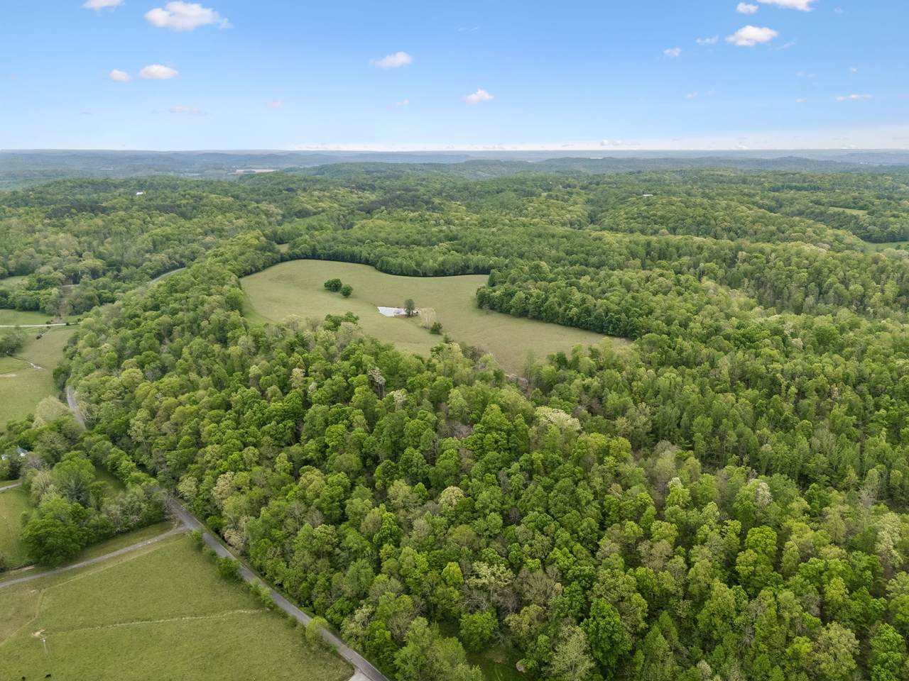 1159 Stella Rd - Photo 1