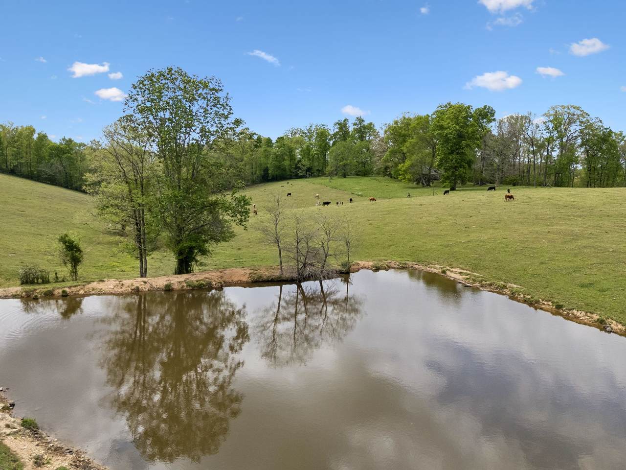 https://bt-photos.global.ssl.fastly.net/nashville/1280_boomver_1_RTC3175704-1.jpg