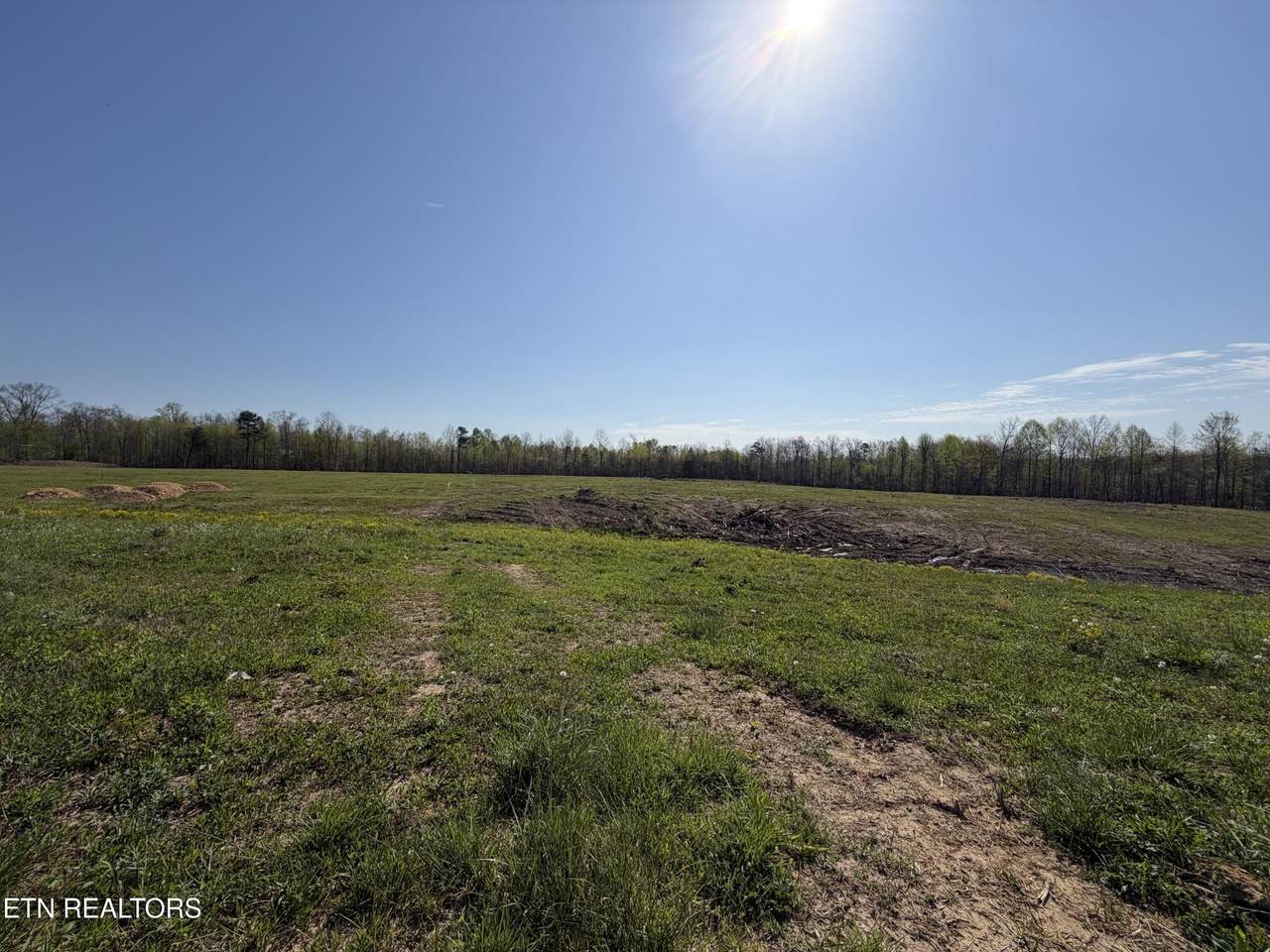 532 White Oak Rd - Photo 1