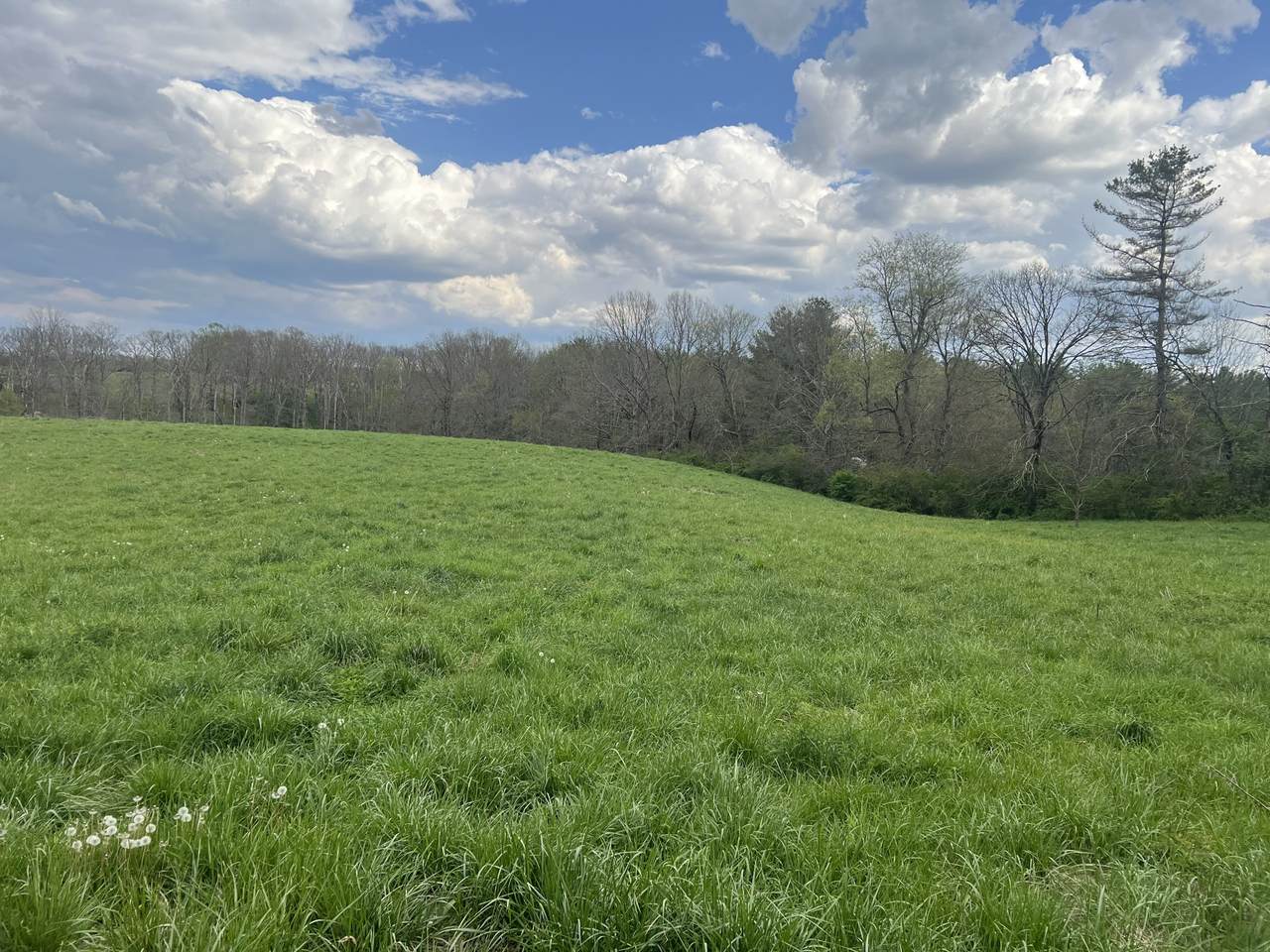 1 Dykes Rd - Photo 1