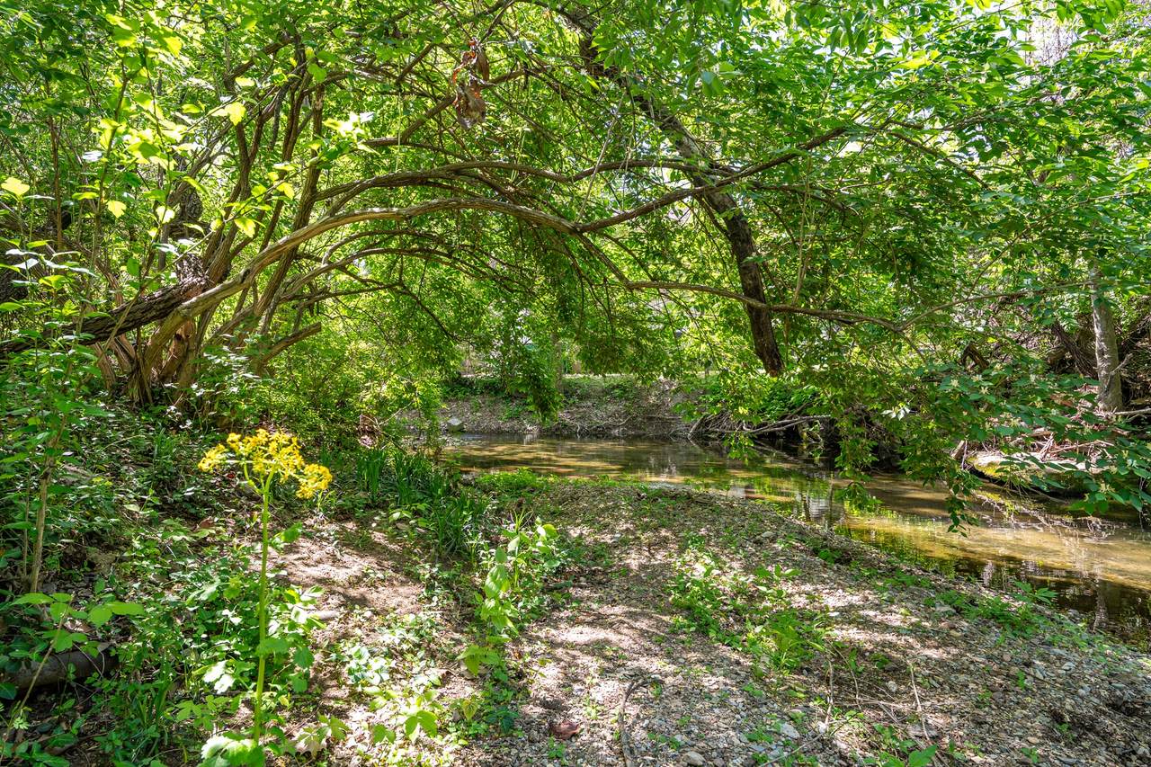 4025 Lealand Ln - Photo 1