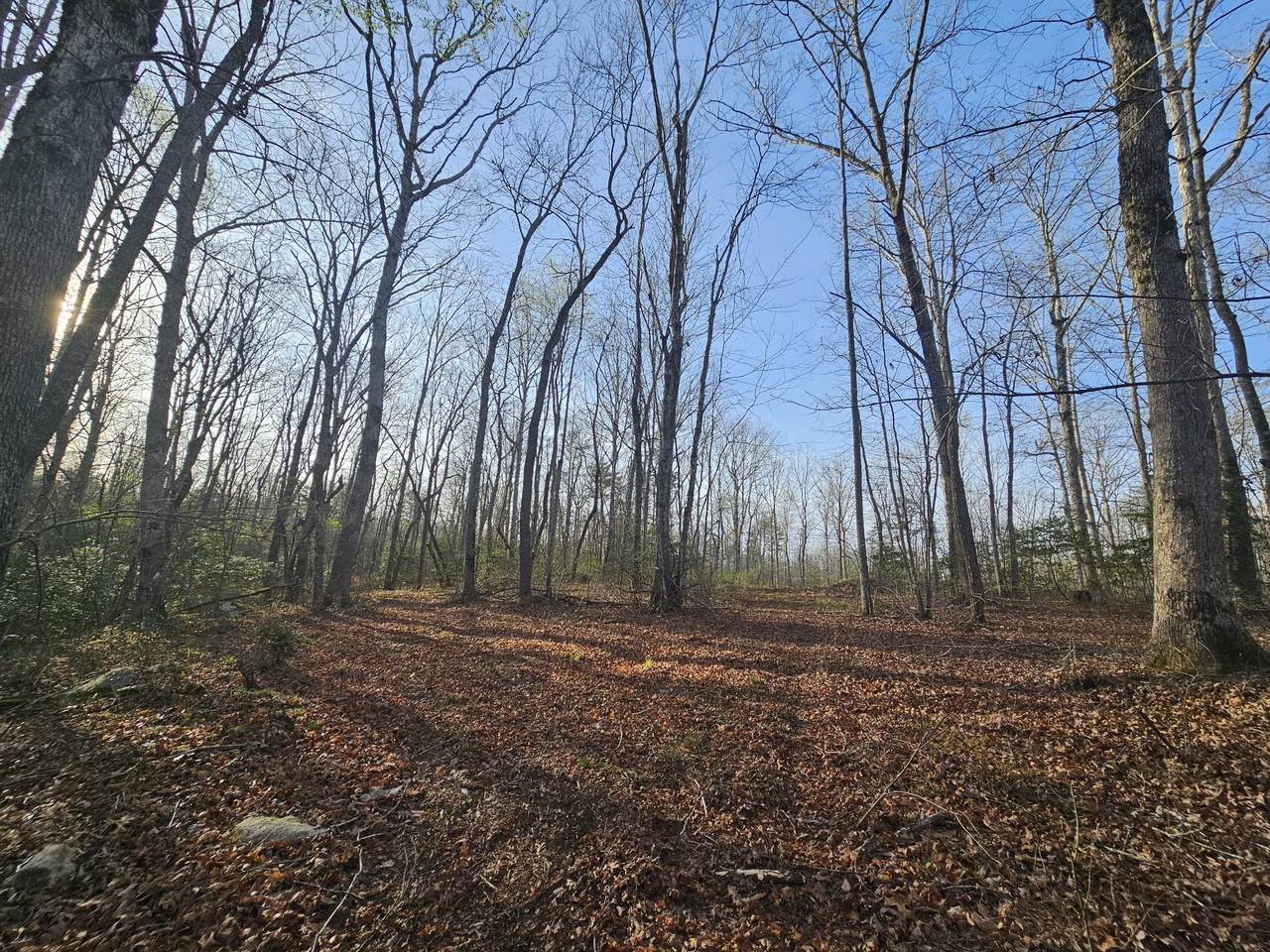 https://bt-photos.global.ssl.fastly.net/nashville/1280_boomver_1_RTC3178860-1.jpg