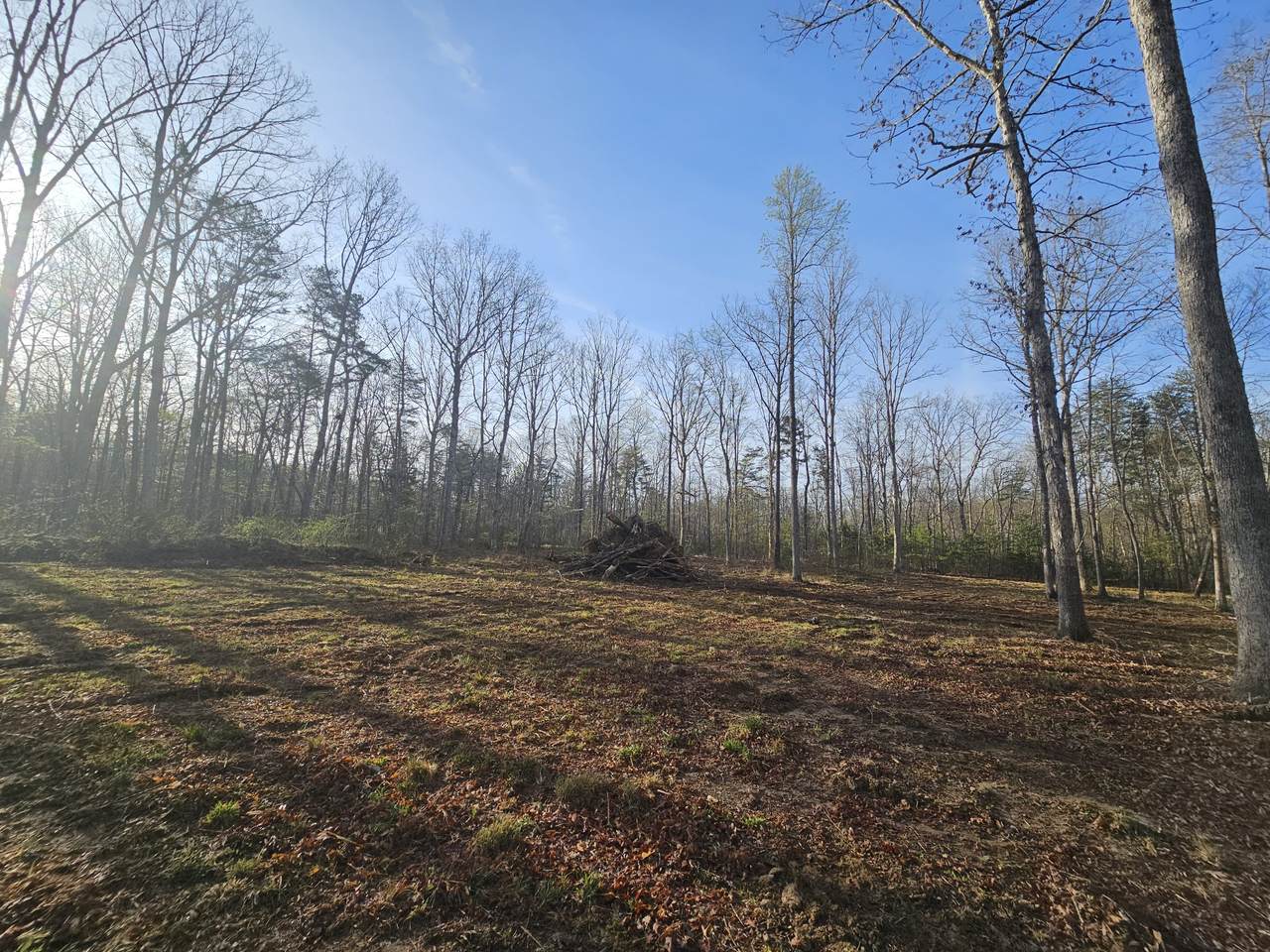 https://bt-photos.global.ssl.fastly.net/nashville/1280_boomver_1_RTC3178860-1.jpg