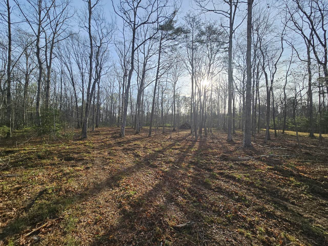 https://bt-photos.global.ssl.fastly.net/nashville/1280_boomver_1_RTC3178860-1.jpg