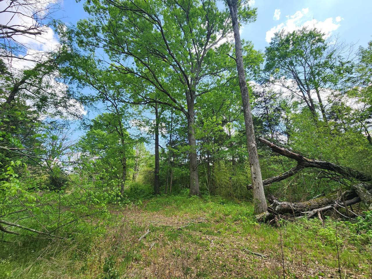 https://bt-photos.global.ssl.fastly.net/nashville/1280_boomver_1_RTC3179993-1.jpg