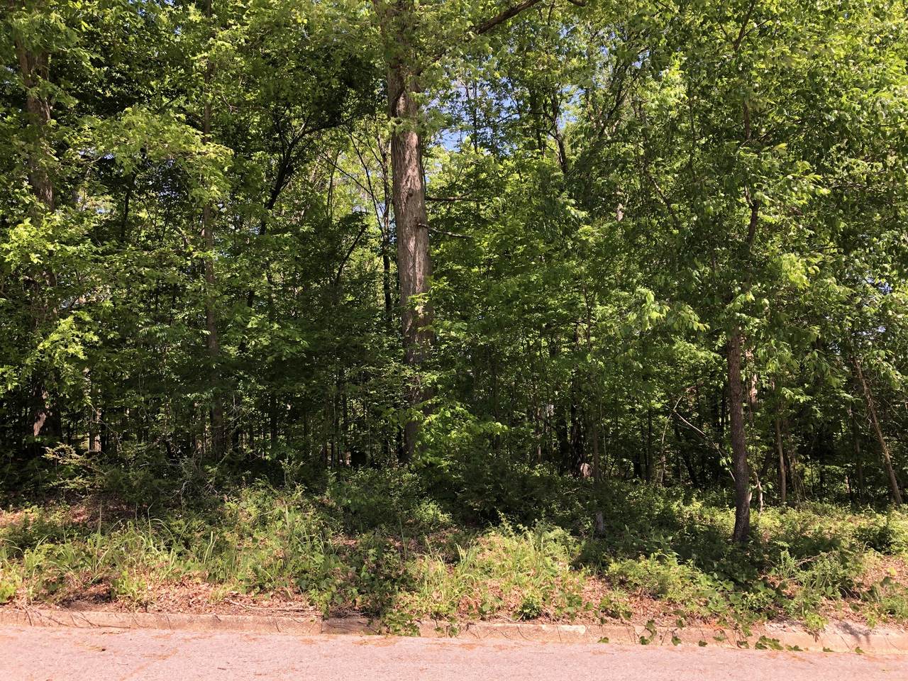 https://bt-photos.global.ssl.fastly.net/nashville/1280_boomver_1_RTC3180904-1.jpg