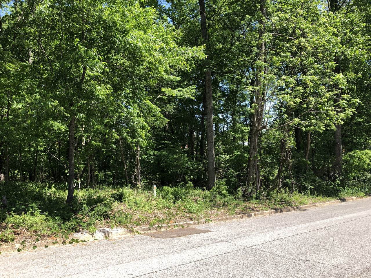 https://bt-photos.global.ssl.fastly.net/nashville/1280_boomver_1_RTC3180904-1.jpg